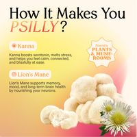 Psilly Sampler